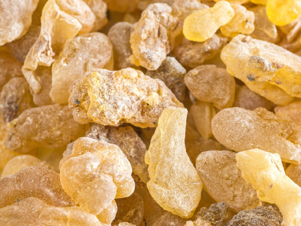 India viirukipuu vaigu ekstrakt (Boswellia serrata)